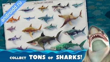 Картинка Hungry Shark World Возможности