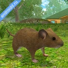 Mouse Simulator : Forest Home