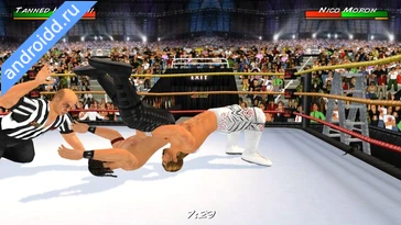 Картинка Wrestling Revolution 3D Возможности