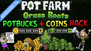 Видео  Bud Farm Grass Roots Графика