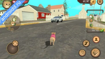 Видео  Cat Sim Online: Play with Cats Геймплей