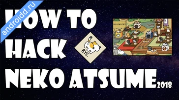 Видео  Neko Atsume: Kitty Collector Анимация