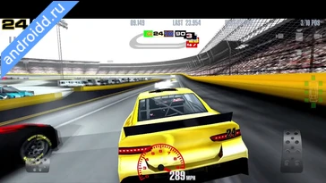 Видео  Stock Car Racing Графика