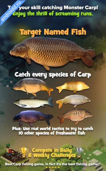 Картинка Carpcraft Carp Fishing Уровни