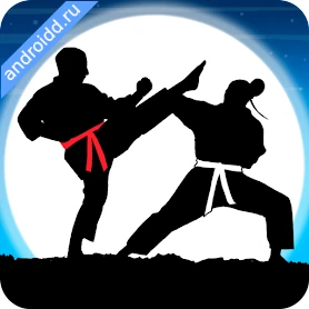 Karate Fighter Real battles