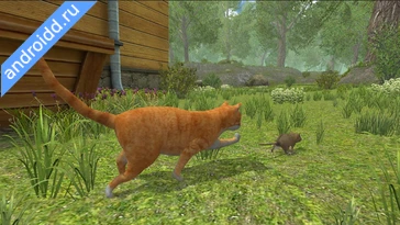 Картинка Mouse Simulator : Forest Home Новые эмоции