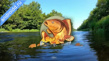 Видео  Carpcraft Carp Fishing Анимация