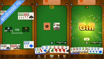 Видео  Gin Rummy Pro Анимация