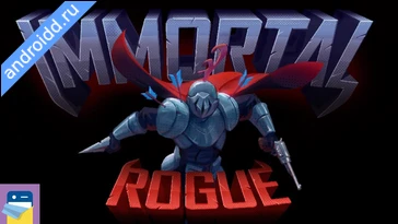 Видео  Immortal Rogue Графика