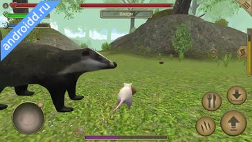 Видео  Mouse Simulator : Forest Home Анимация