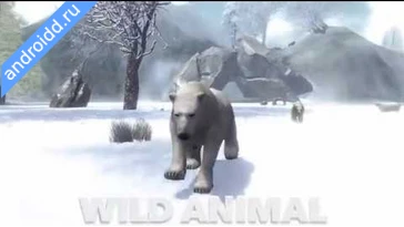 Видео  Ultimate Arctic Simulator Геймплей